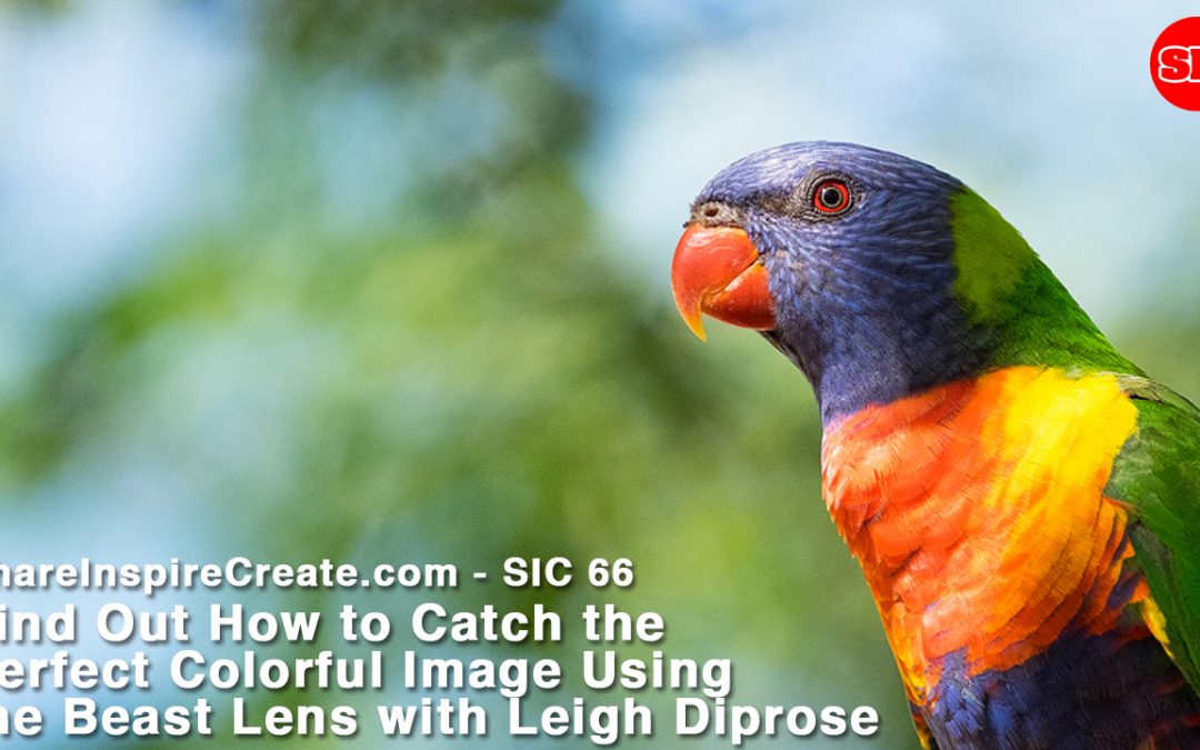 SIC 66 - Find Out How to Catch the Perfect Colorful Image Using the Beast Lens with Leigh Diprose