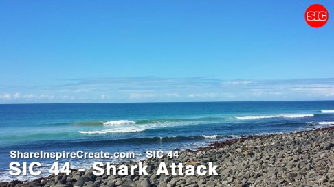 SIC 44 - Shark Attack